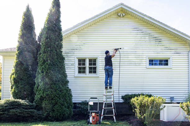 Best Gutter Cleaning and Brightening in Fairfax, MN